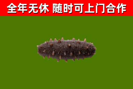 丰顺县烟酒回收干海参.jpg
